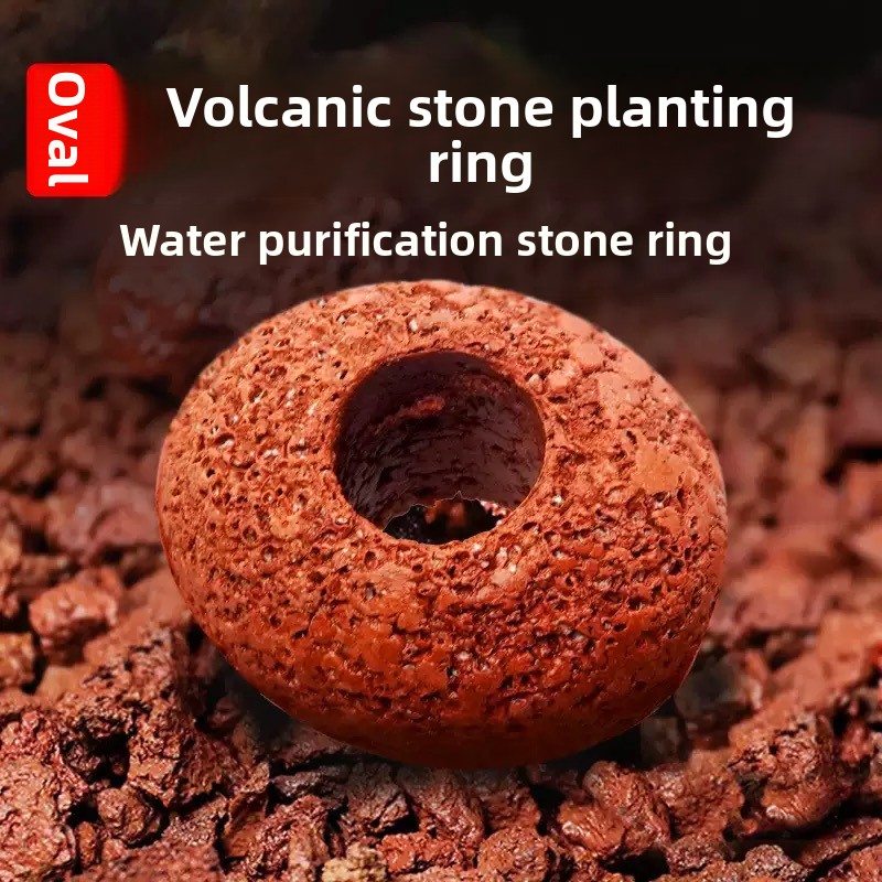 Planted Aquarium Care - 水槽用火山岩プランティングリング 水草育成用 水槽用品 アクセサリー 淡水熱帯魚用