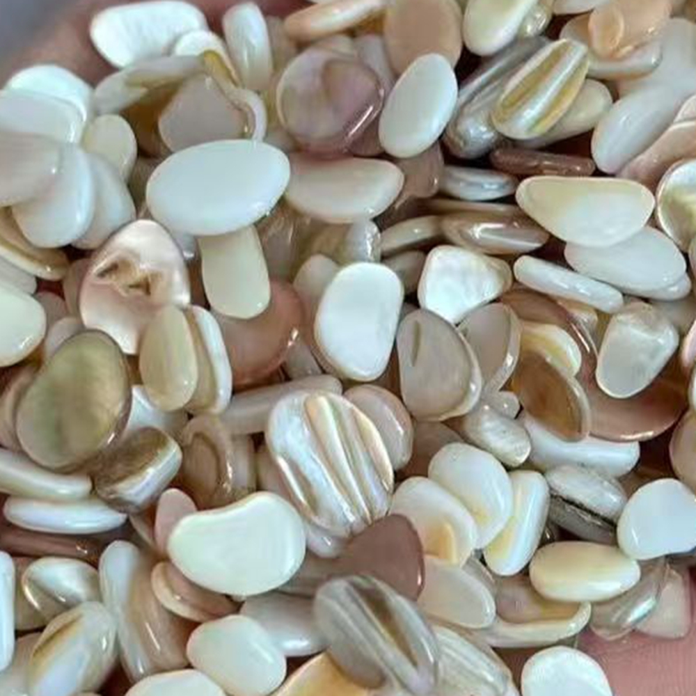 Aquarium Sand White - 50個 4-7mm 穴なし 天然ベージュホワイト マザーオブパール シェルチップ