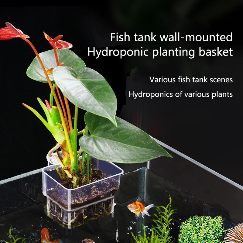 Aquarium Planted Tank Setup - 水槽水耕栽培カップ 2/5/10個入り 水生植物栽培用 耐久性のあるバスケット 魚タンクセットアップ用