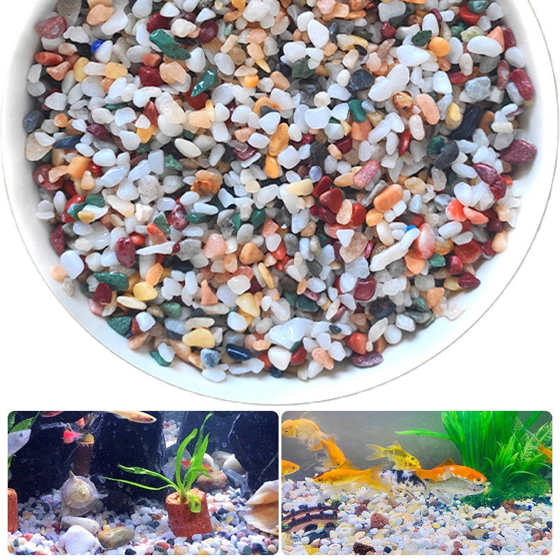 Planted Aquarium With Sand - 天然砂利石 200 〜 1000 グラムマイクロ風景庭園水槽装飾鉢植え植物水槽底砂 DIY