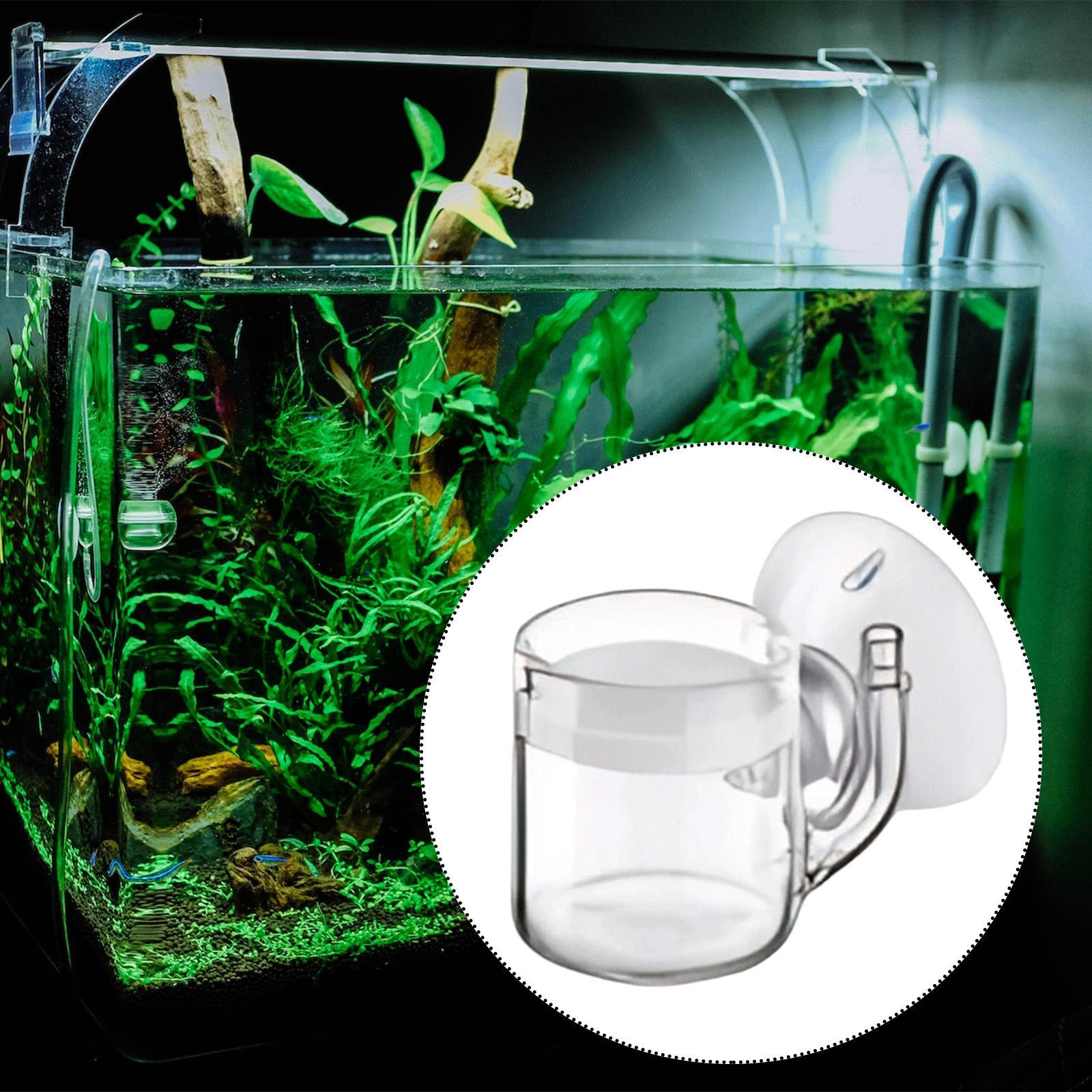Planted Aquarium Care - 水槽用ディフューザーガラスCO2アトマイザー 魚タンク水生植物ケア用効率的なセラミックディスク