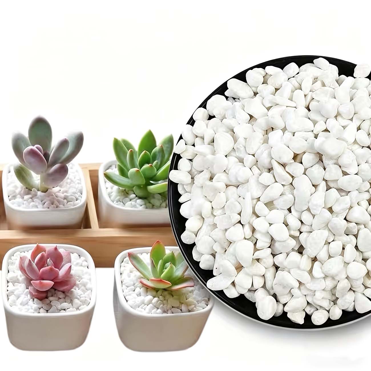 Aquarium Sand White - 100/200gの白い装飾石 - 水槽、ガーデニング、DIYクラフト、花瓶の飾り、屋外庭園の魚の装飾に最適です。