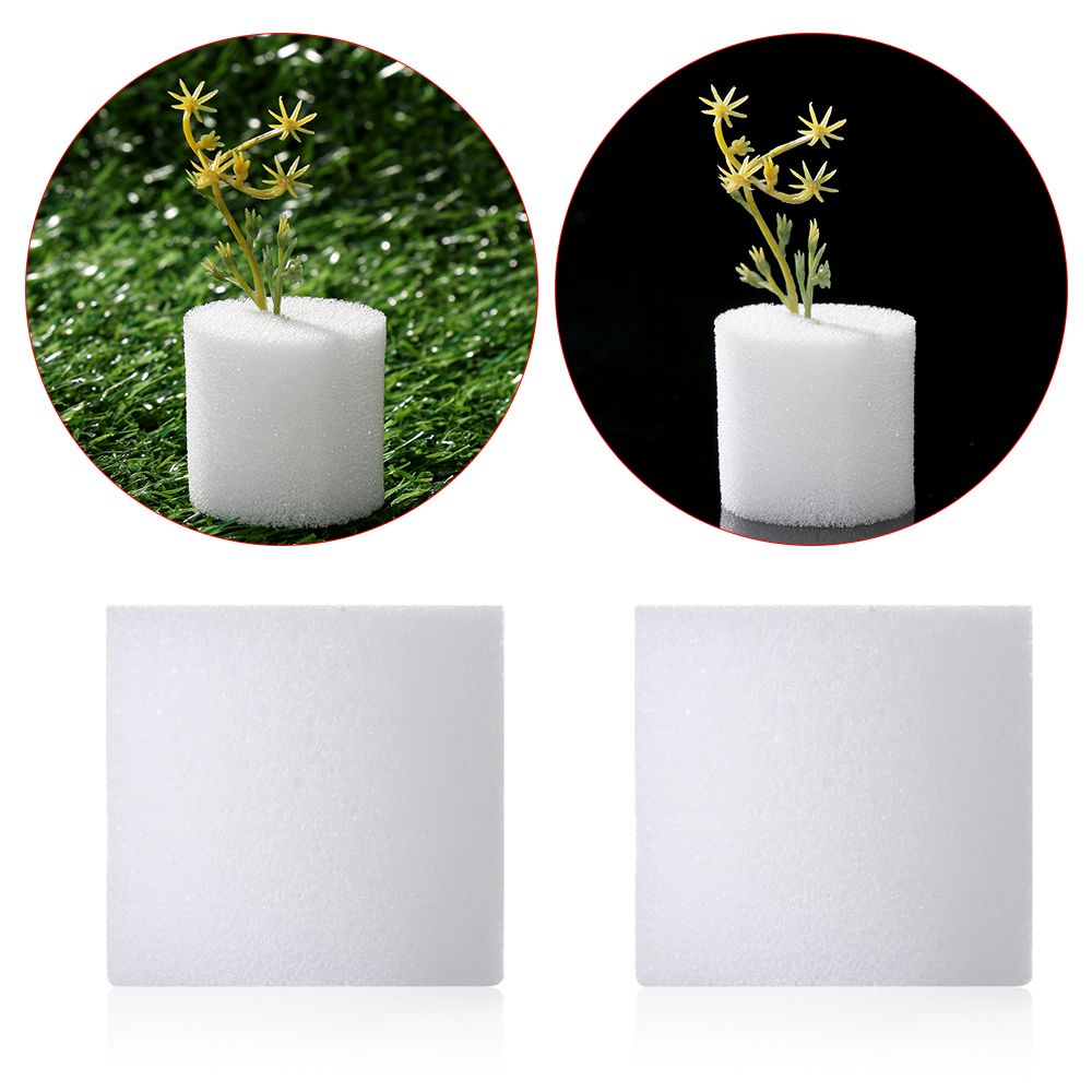 Aquarium Plant Seeds - 耐久性のあるガーデン用品,10/50個,保育園の植物,無水耕栽培のためのシードトレイ