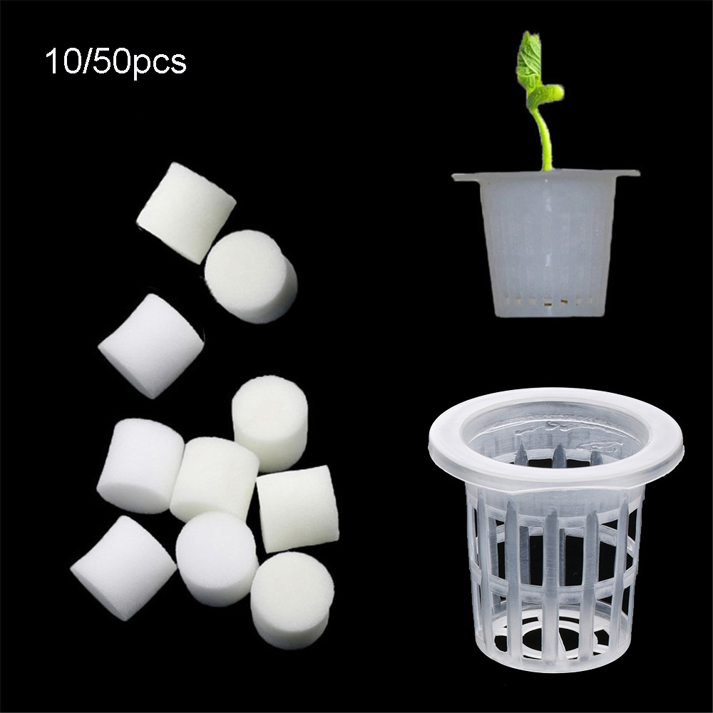 Aquarium Plant Seeds - 10/50 個耐久性のある植栽水族館無土壌水耕種子トレイ植栽バスケット保育園スポンジ植木鉢