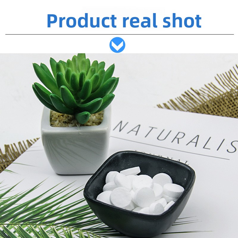 BESSN水槽用CO2スローレリース錠剤 - 水草タンク用二 - Aquarium Plant Yellowing のレビューと価格