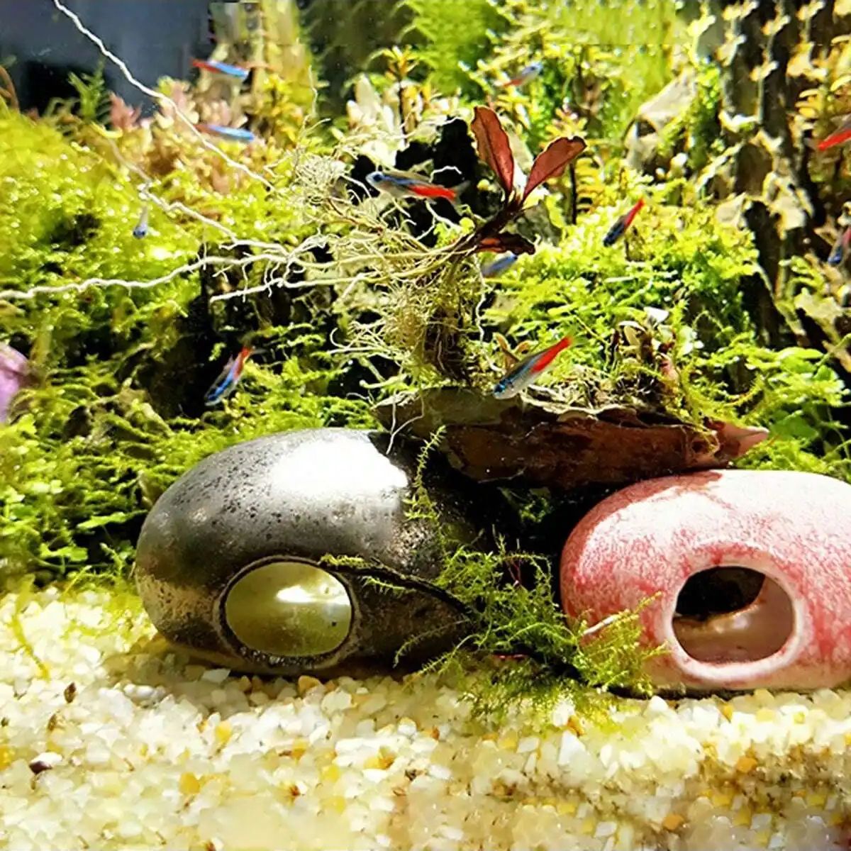 1pc-250 グラム天然結晶砂利石マイクロ風景庭水族館の装 - Planted Aquarium With Sand のレビューと価格