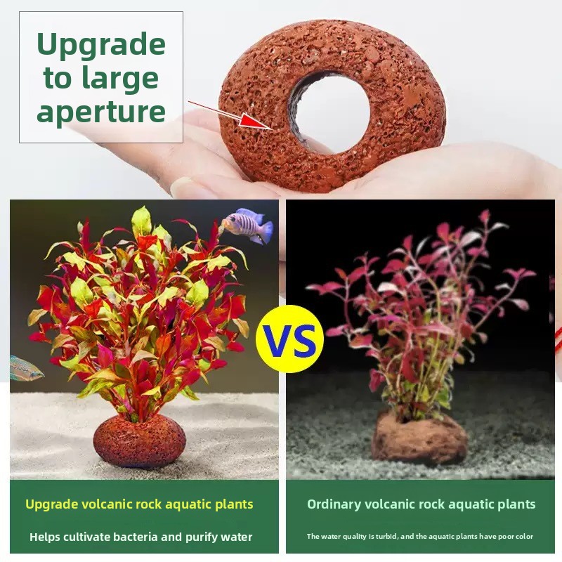 水槽用火山岩プランティングリング 水草育成用 水槽用品 アク - Planted Aquarium Care のレビューと価格