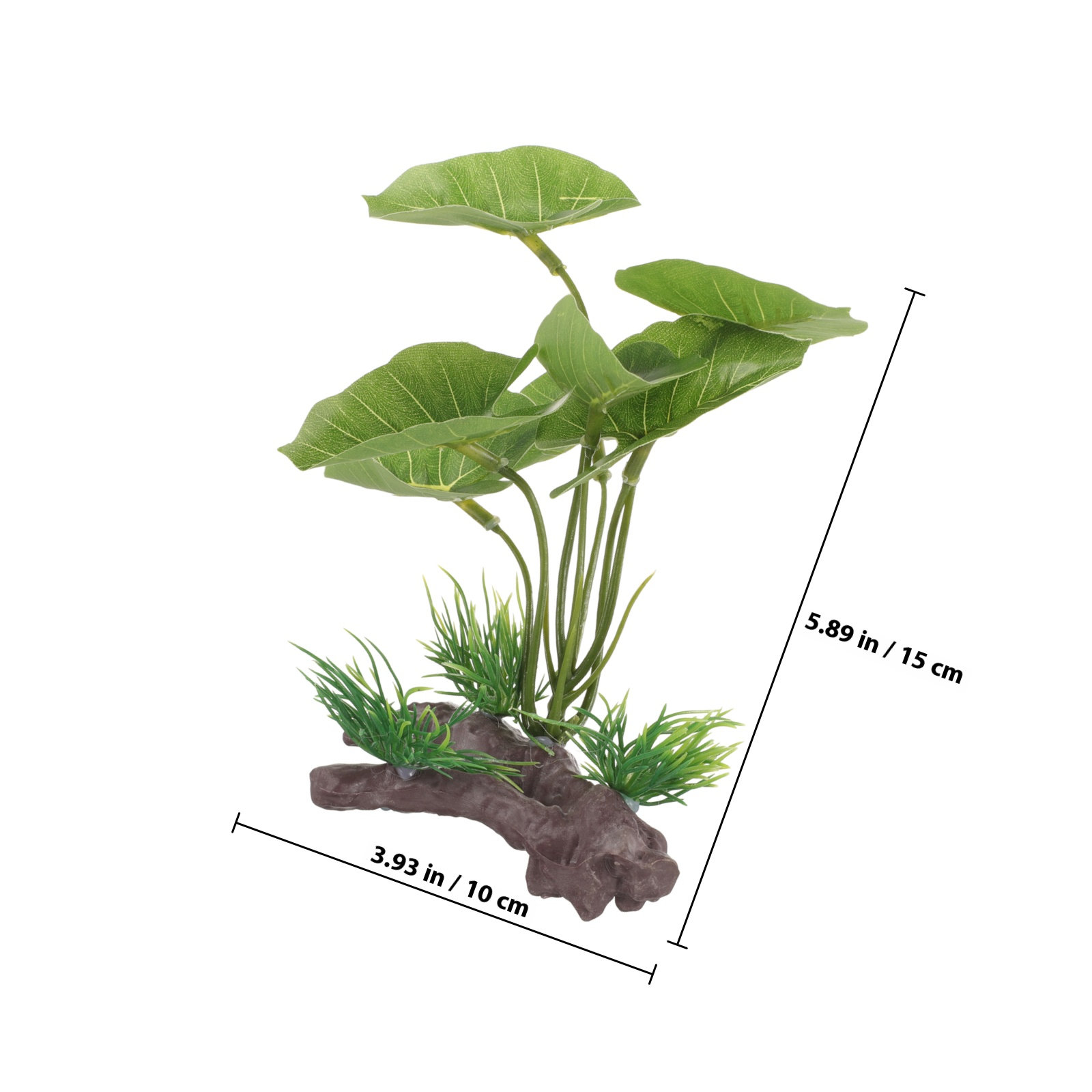 リアルなプラスチック製水槽用植物、魚タンクや爬虫類テラリウム - Planted Aquarium Care のレビューと価格
