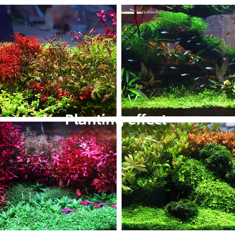 SYSENCIAGA 水草水槽用培地土壌-栄養豊富な底砂-水 - Aquarium Plant Fertilizer のレビューと価格