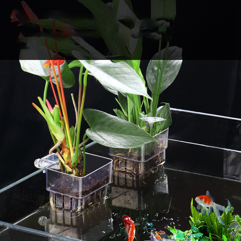 水族館の水耕植物バスケット,高品質,ABS,水耕栽培,種子成 - Aquarium Plant Seeds のレビューと価格