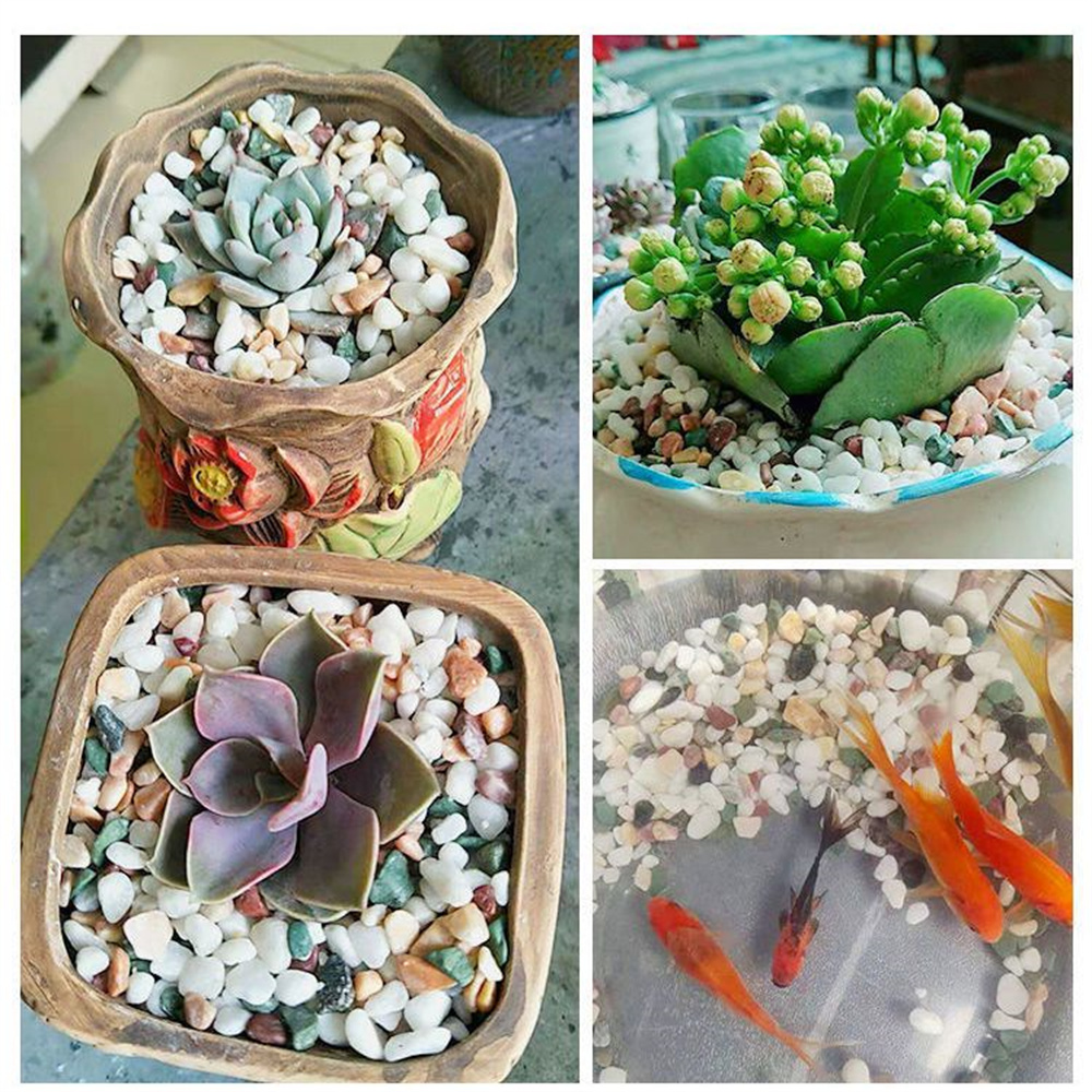 50/100 グラム天然結晶砂利石マイクロ風景庭水族館の装飾 - Planted Aquarium With Sand のレビューと価格