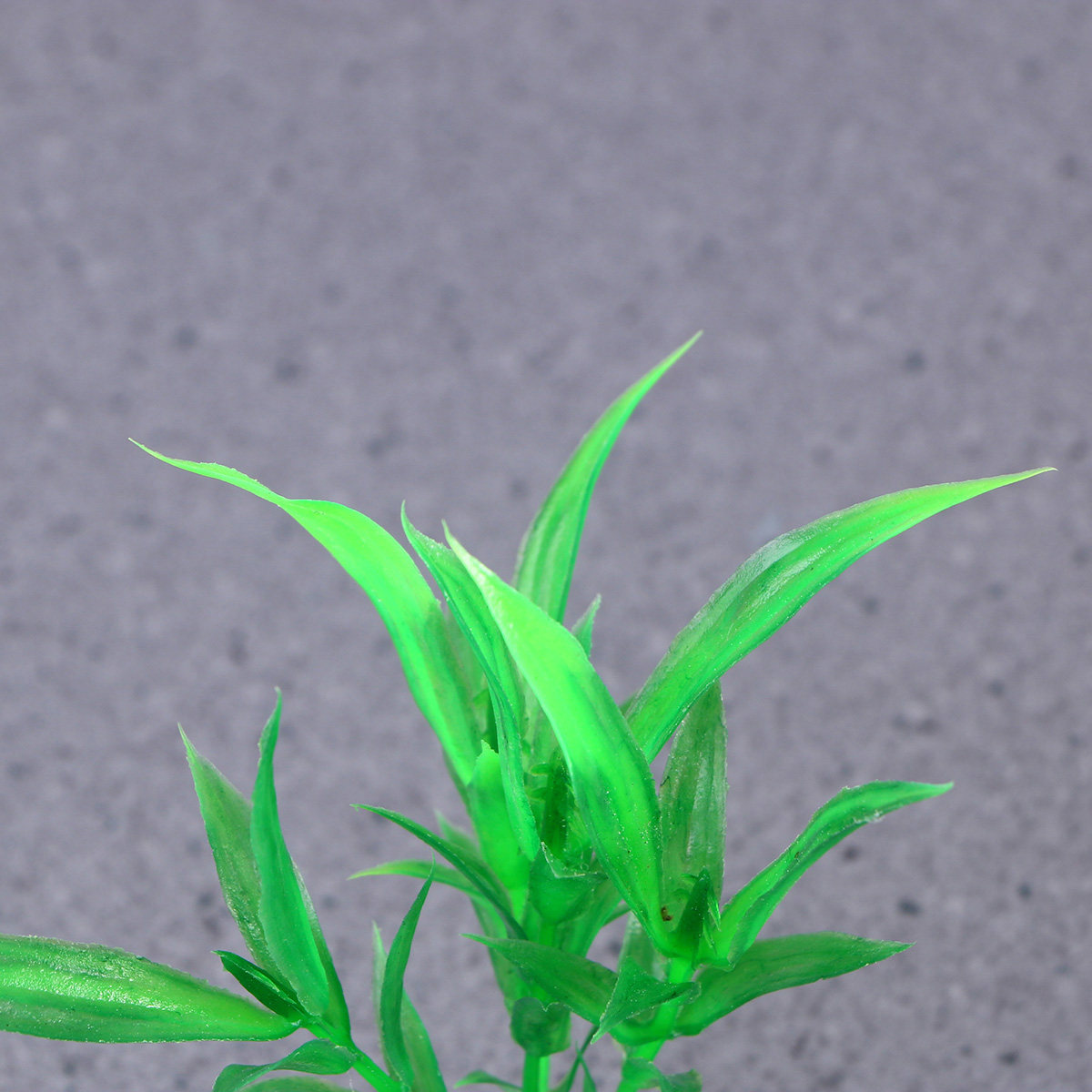10個入りリアルな水槽用植物人工ドラセナサンドリアナ装飾品、 - Non Planted Aquarium Fish のレビューと価格
