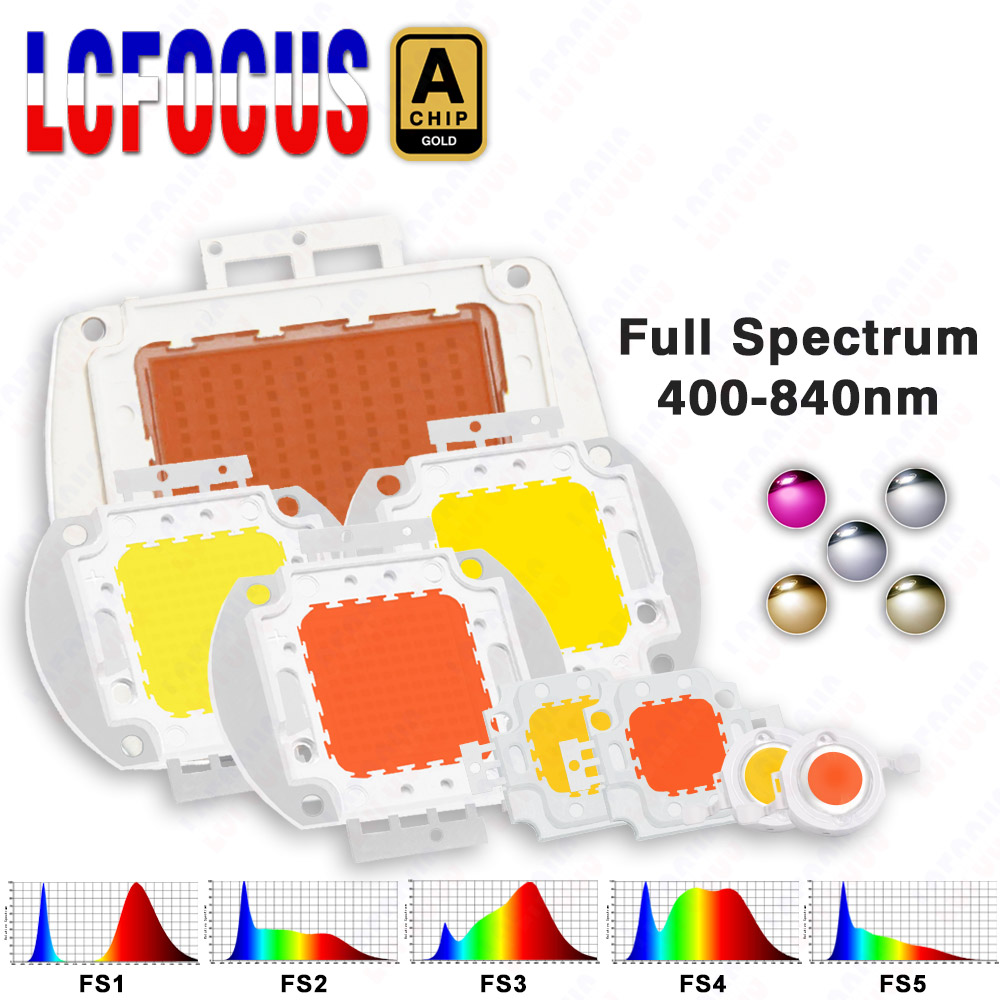 1W 3W 5W 10W 20W 30W 50W 100W  - Aquarium Plant Seeds のレビューと価格