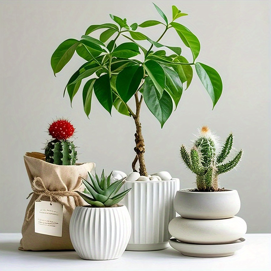 200/400g ホワイト高研磨天然玉石 2-3cm 中庭景 - Aquarium Plant Nursery のレビューと価格