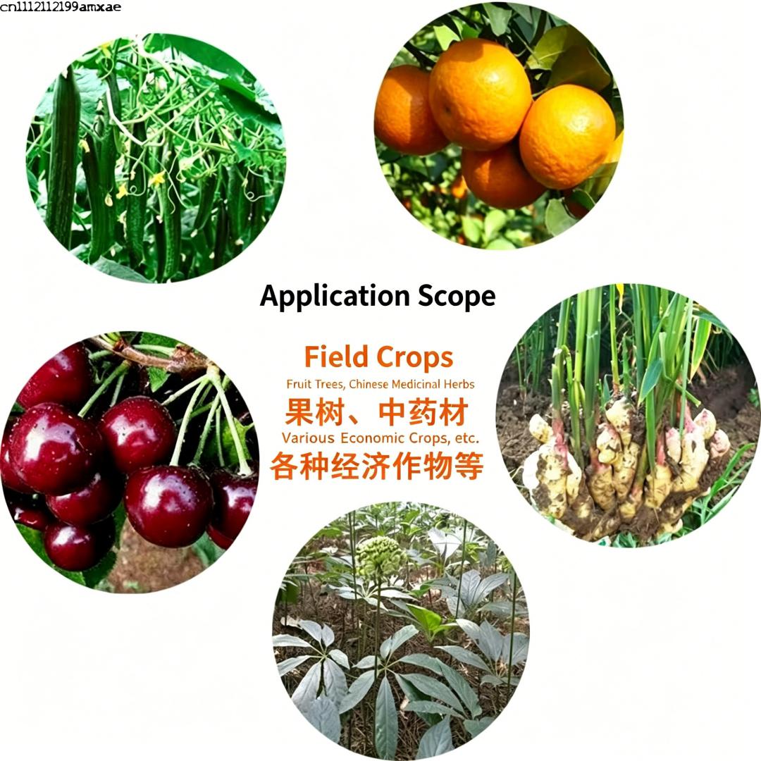 高活性バチルス・サブティリス粉末有機プロバイオティクス肥料（ - Aquarium Plant Root Fertilizer のレビューと価格