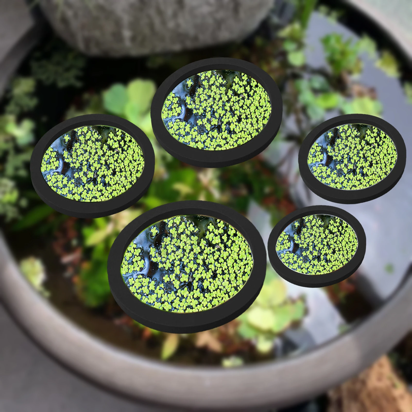 5 個 EVA 魚給餌リング水族館浮遊植物囲い水槽フロート植 - Aquarium Plant Nursery のレビューと価格
