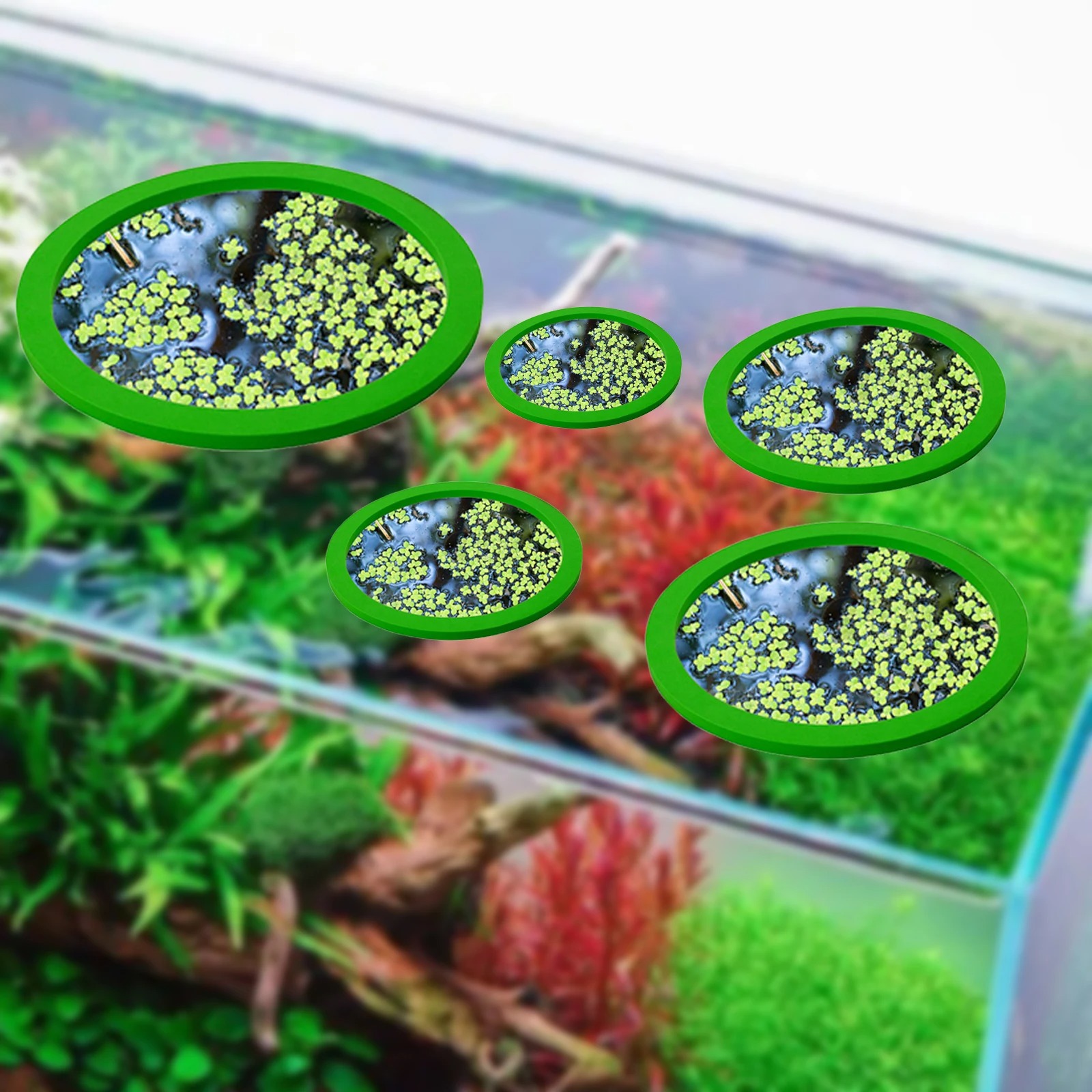 5 個 EVA 魚給餌リング水族館浮遊植物囲い水槽フロート植 - Aquarium Plant Nursery のレビューと価格