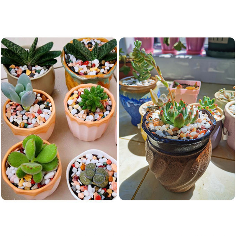 天然砂利石 200 〜 1000 グラムマイクロ風景庭園水槽 - Planted Aquarium With Sand のレビューと価格