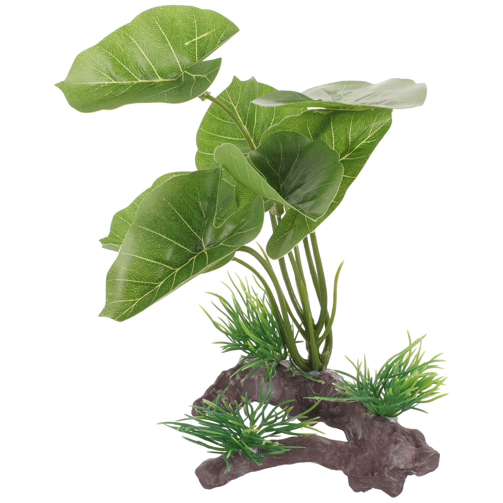 リアルなプラスチック製水槽用植物、魚タンクや爬虫類テラリウム - Planted Aquarium Care のレビューと価格