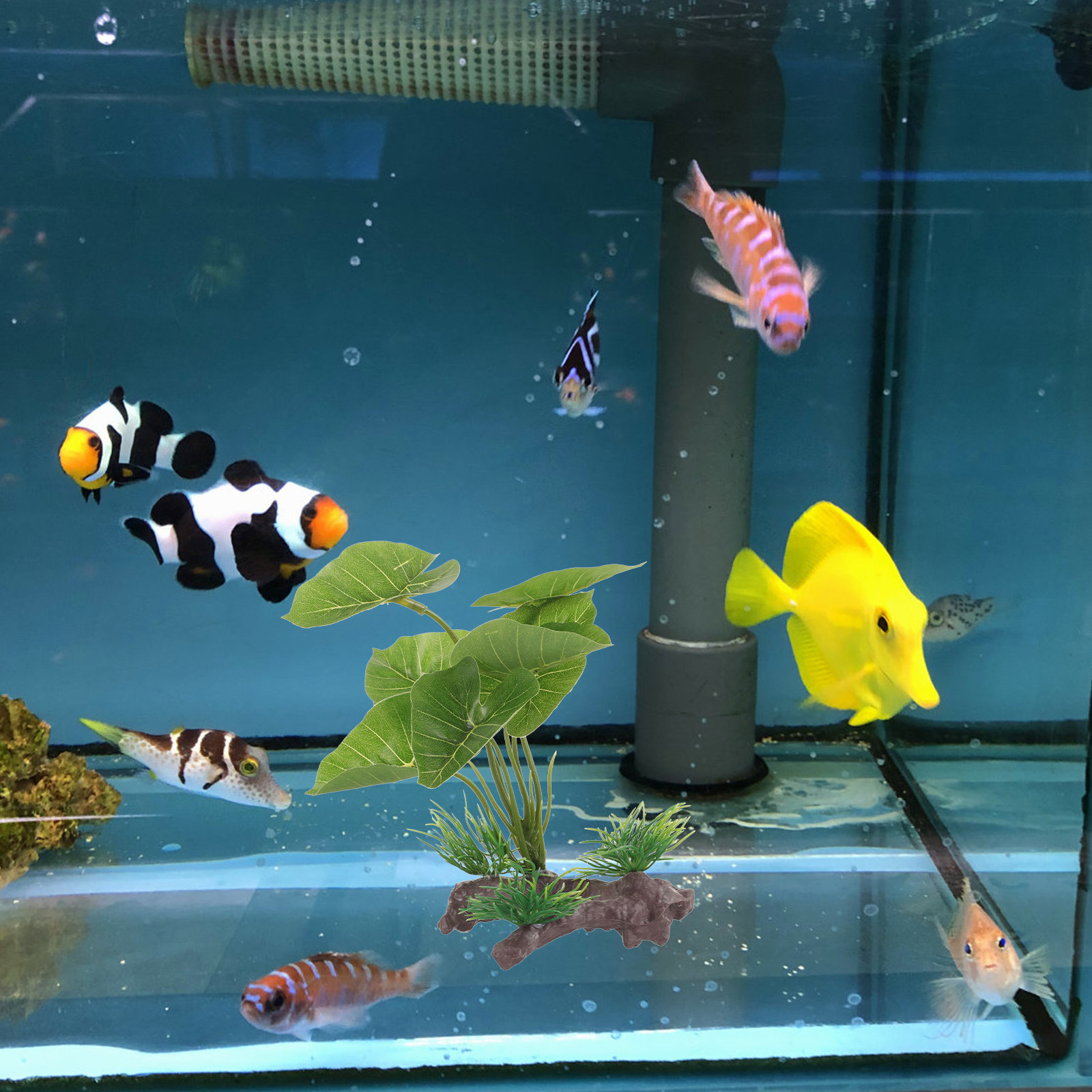 リアルなプラスチック製水槽用植物、魚タンクや爬虫類テラリウム - Planted Aquarium Care のレビューと価格