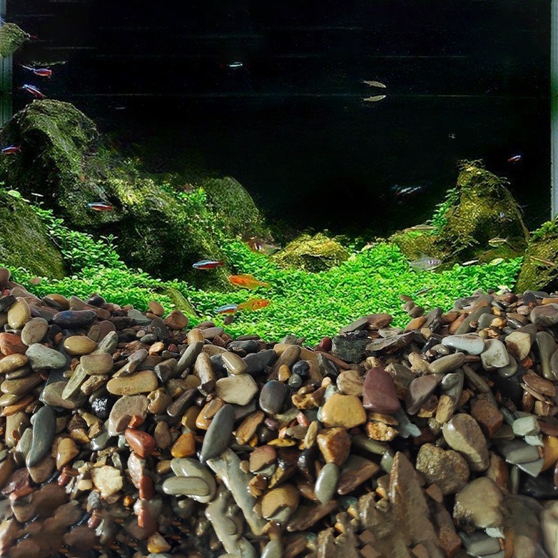 ストリームペブルズ水槽底砂 ネイティブアクアスケープ装飾 水 - Planted Aquarium With Sand のレビューと価格