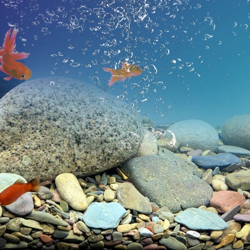ストリームペブルズ水槽底砂 ネイティブアクアスケープ装飾 水 - Planted Aquarium With Sand のレビューと価格