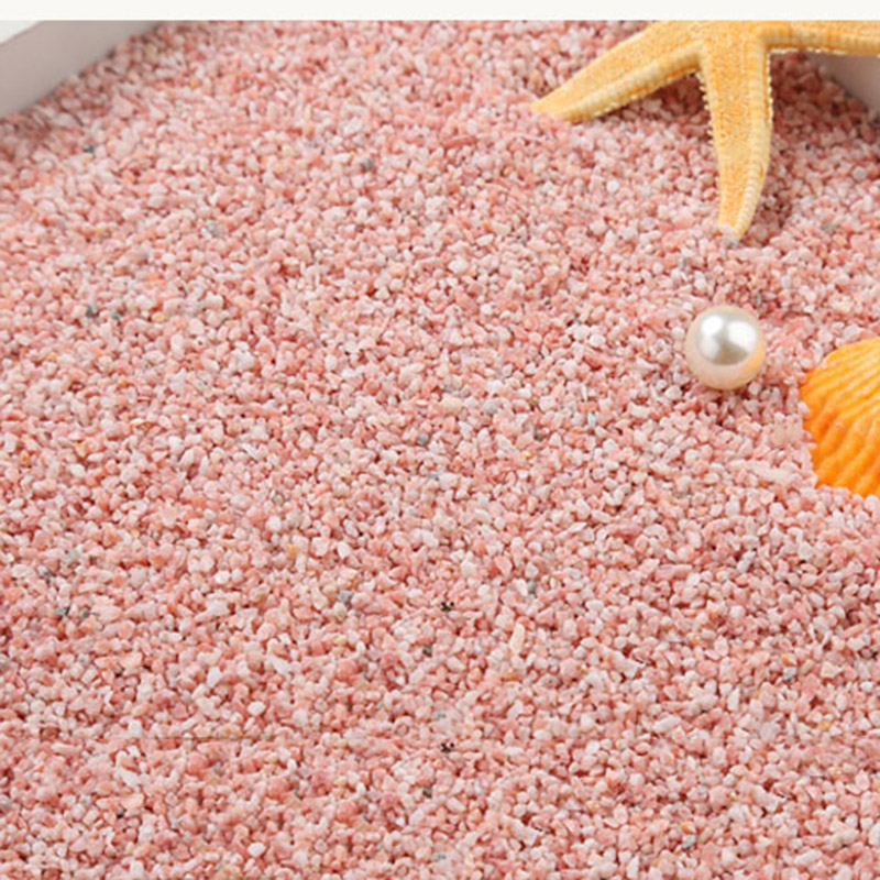 100 グラム自然石水槽砂庭の装飾ミニチュアテラリウム水族館 - Planted Aquarium With Sand のレビューと価格