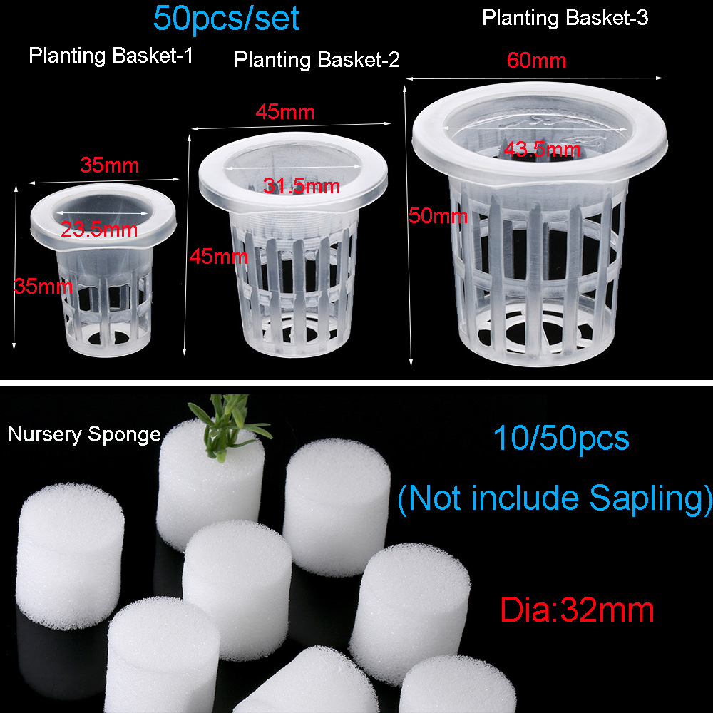 10/50 個ガーデン用品水族館植栽無土壌水耕植木鉢種子トレ - Aquarium Plant Seeds のレビューと価格