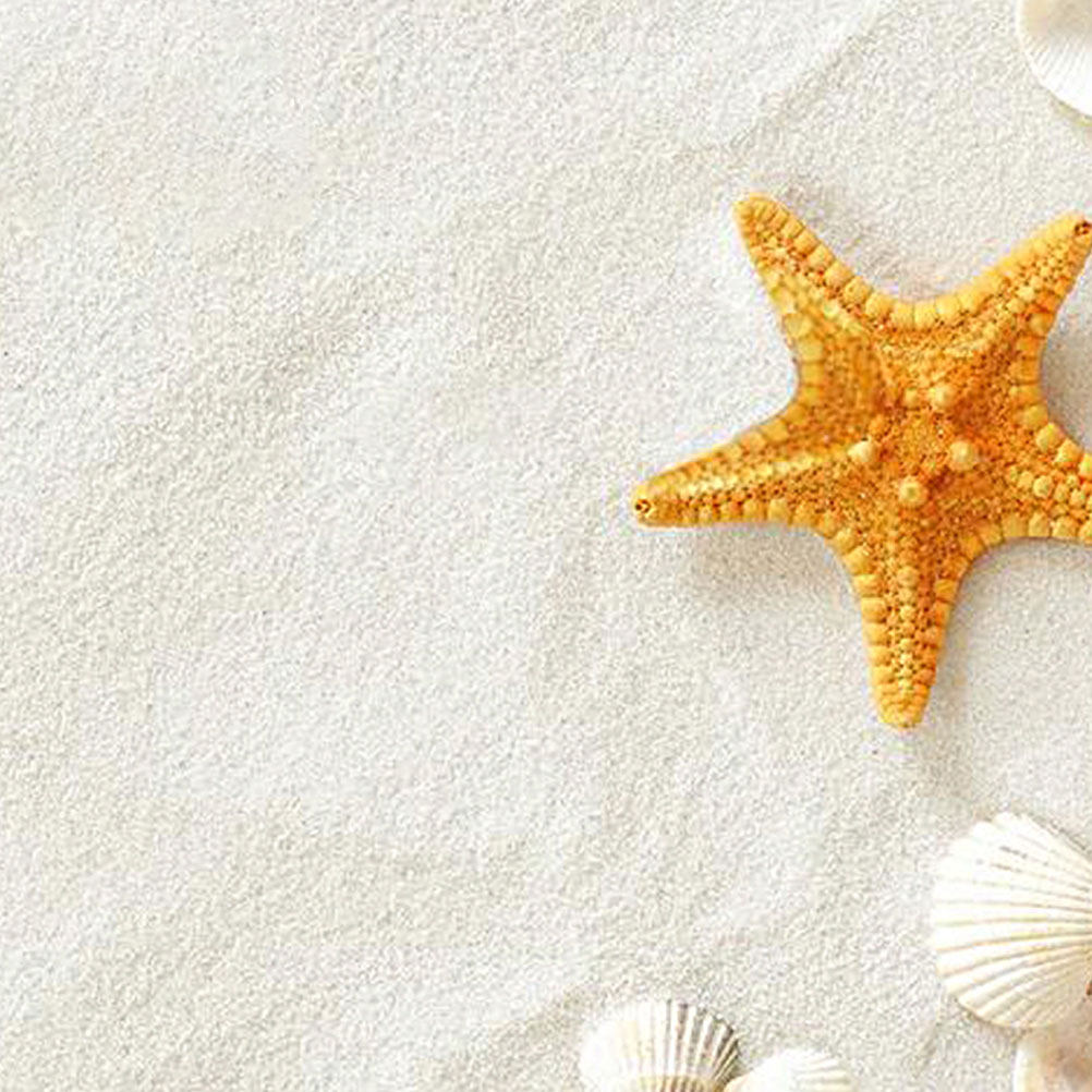 5パック ホワイトビューティーサンド 80g 水槽砂装飾 魚 - Aquarium Sand White のレビューと価格
