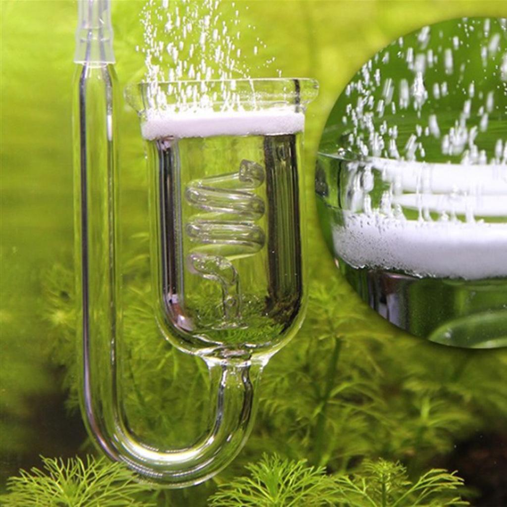 耐久性のあるガラス製CO2ディフューザー水槽アトマイザー二酸 - Aquarium Planted Tank Setup のレビューと価格