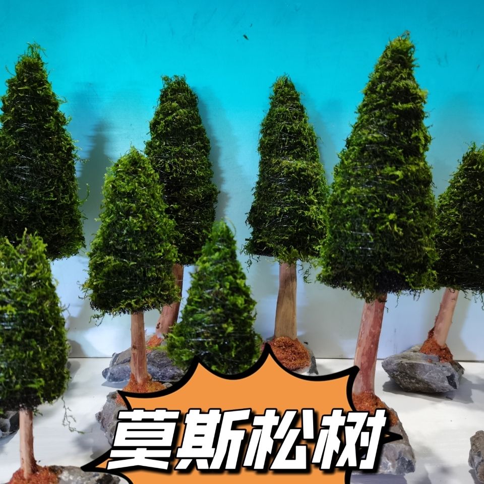水族館の装飾,きらびやかな植物,木,クリスマスの木,魚の装飾 - Aquarium Plant Seeds のレビューと価格