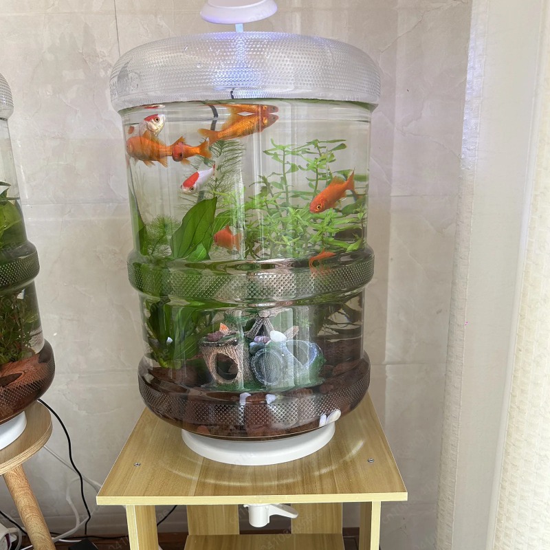 インスタントセットアップホームフィッシュタンク30x30cm - Aquarium Planted Tank Setup のレビューと価格