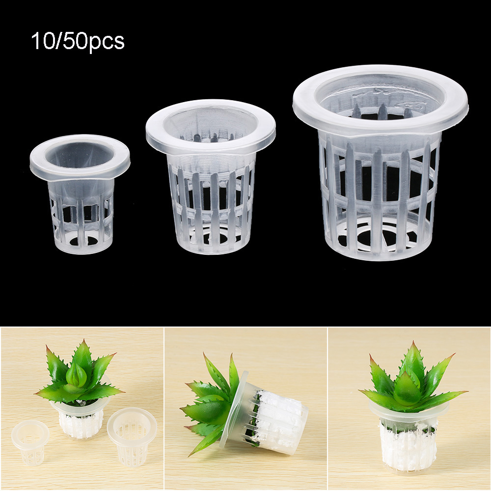 10/50 個耐久性のある植栽水族館無土壌水耕種子トレイ植栽 - Aquarium Plant Seeds のレビューと価格
